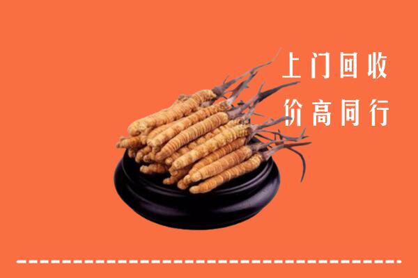 高价求购：安丘市回收散虫草